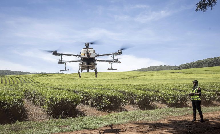agribusiness 1
