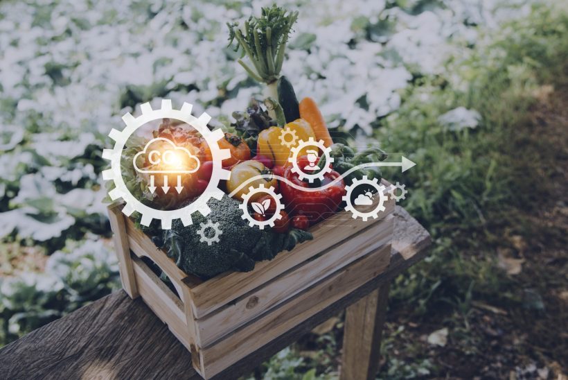 Futuristic businessman farms vegetables and crops using modern AI technology using mobile phones, temperature and humidity sensors, water tracking, climate control, holographic data data icons.